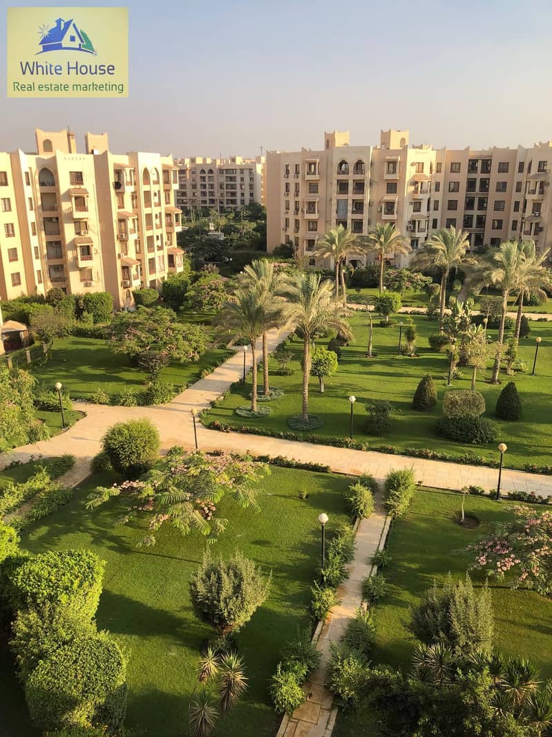 7 546729437_10162245774388992_3654643338364104657_n. jpg