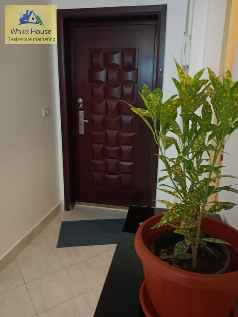 7 WhatsApp Image 2025-10-18 at 9.39. 57 PM. jpeg