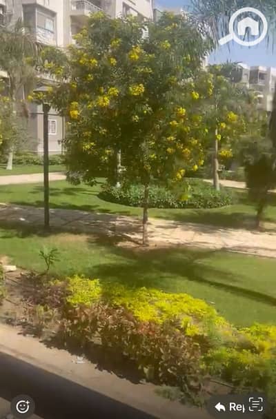 3 Bedroom Apartment for Sale in Madinaty, Cairo - WhatsApp Image 2025-10-19 at 12.00. 36 AM (1). jpeg