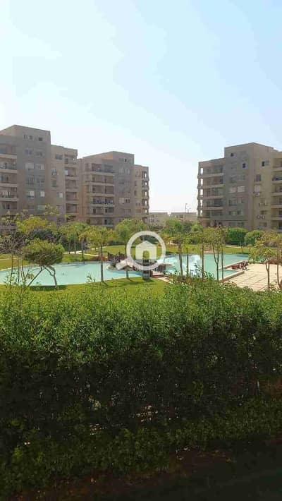 3 Bedroom Flat for Rent in New Cairo, Cairo - 1000428759. jpg 3 Bedroom Flat for Rent in New Cairo, Cairo - 1000428759. jpg