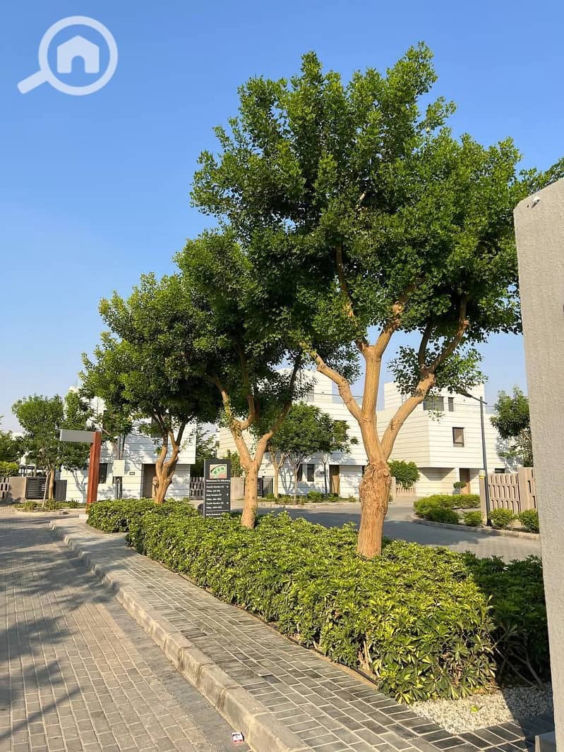 12 cad6d099-7fc9-4c4a-9e8a-8ff2e524b954. jpg