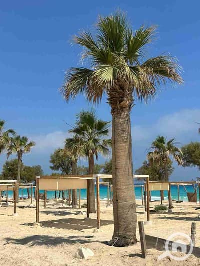 شاليه 3 غرف نوم للبيع في الساحل الشمالي، مطروح - IMG-20250714-WA0016. jpg