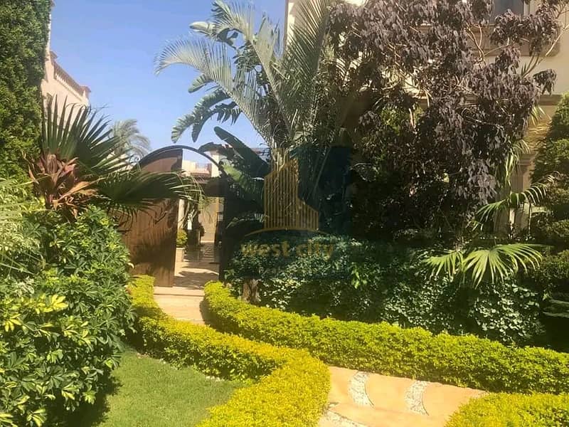 9 1760845134913. jpg