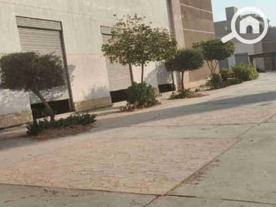 Retail for Sale in Shorouk City, Cairo - IMG-20250709-WA0020. jpg