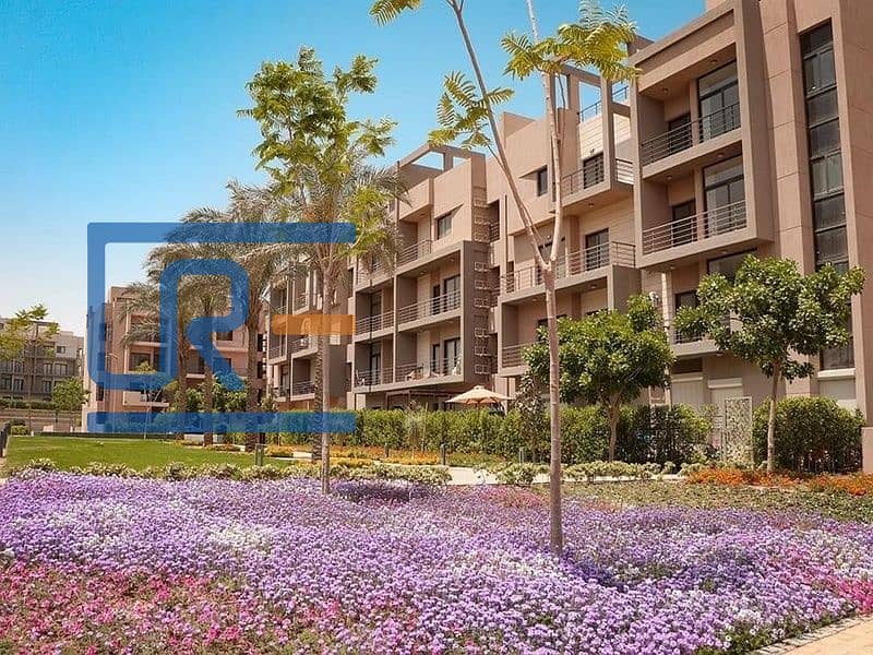 4 2022-06-03 (1). jpg