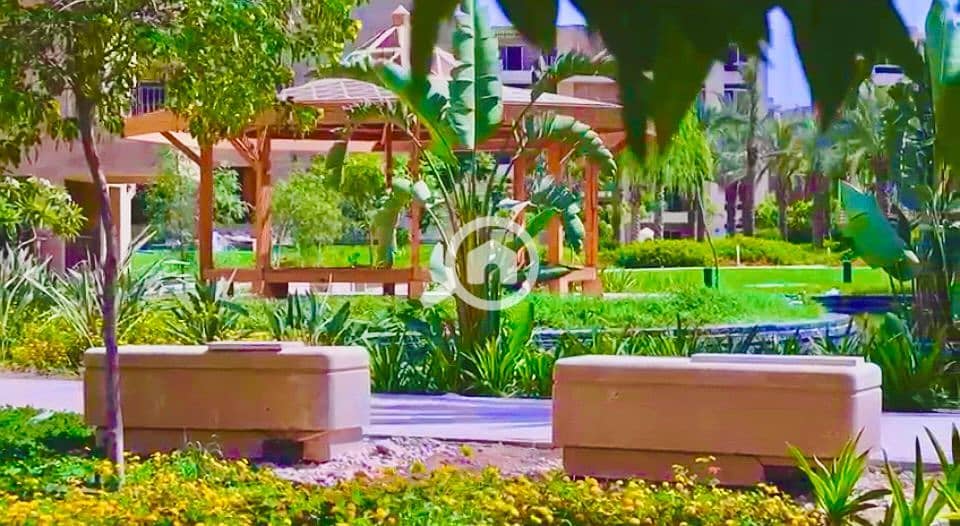 4 IMG-20251019-WA0008. jpg