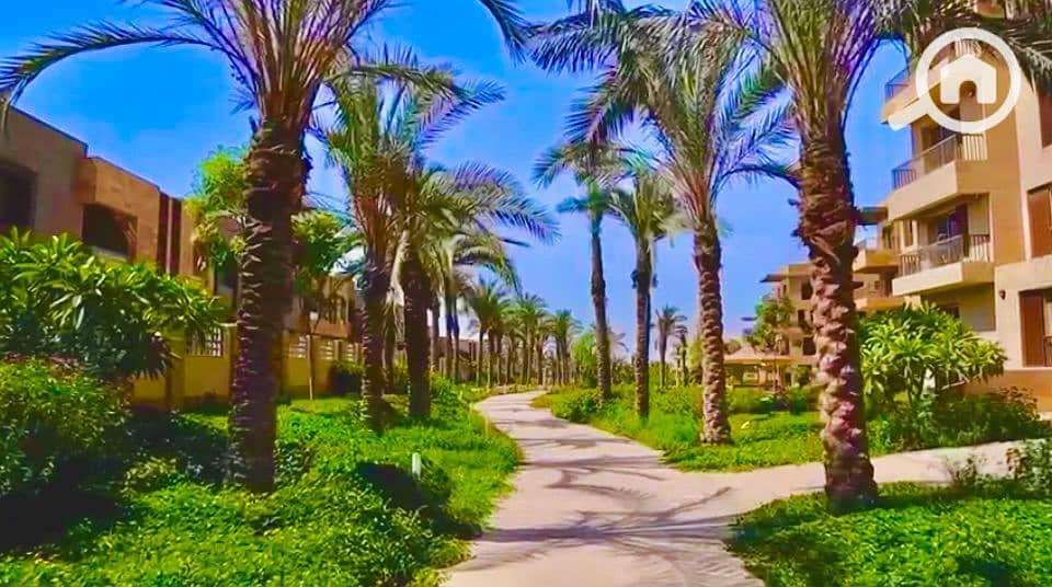 10 IMG-20251019-WA0022. jpg