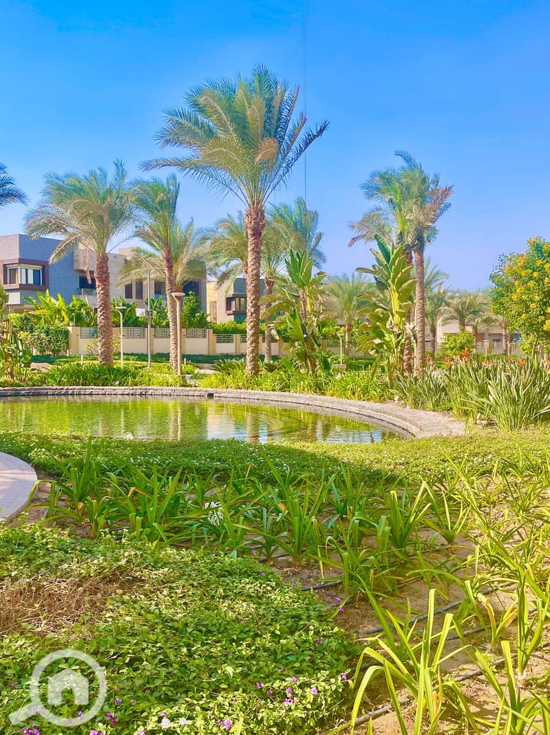 12 IMG-20251019-WA0024. jpg