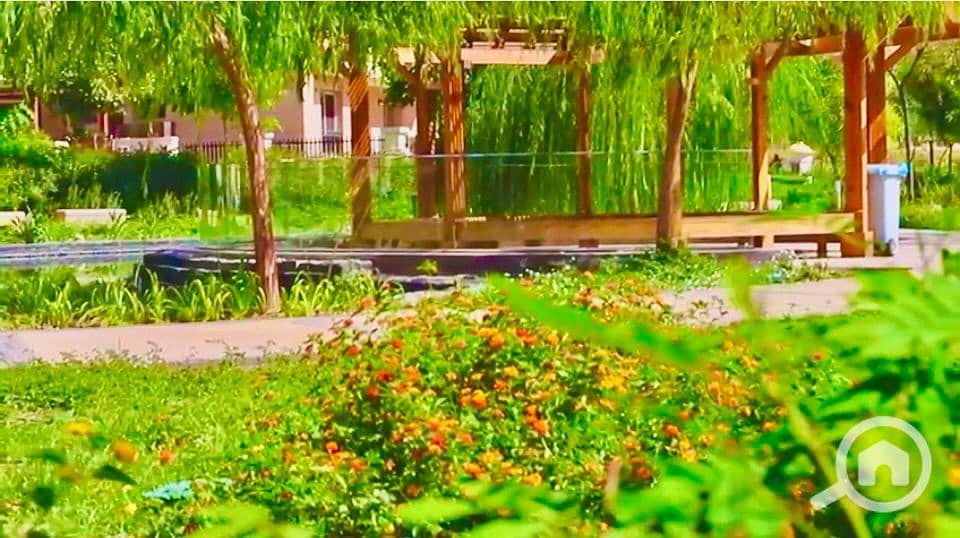 13 IMG-20251019-WA0028. jpg