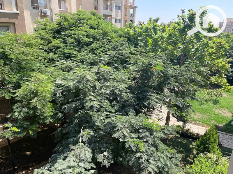 4 IMG-20240822-WA0063. jpg