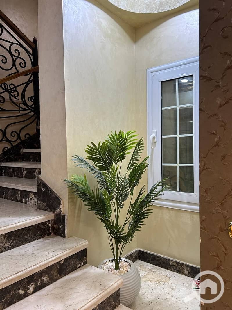 25 c62ba9bc-1232-466d-87e8-f407e5242b90. jpeg