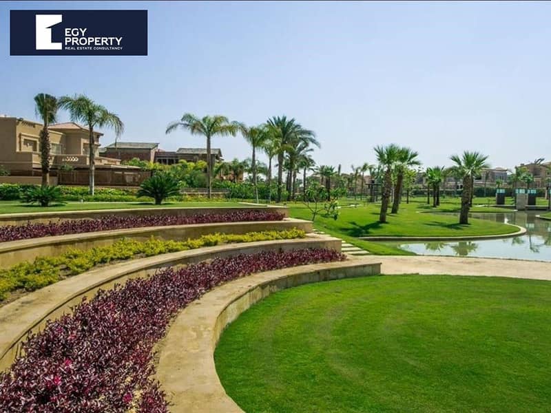 6 swan laked new cairo (5). jpeg