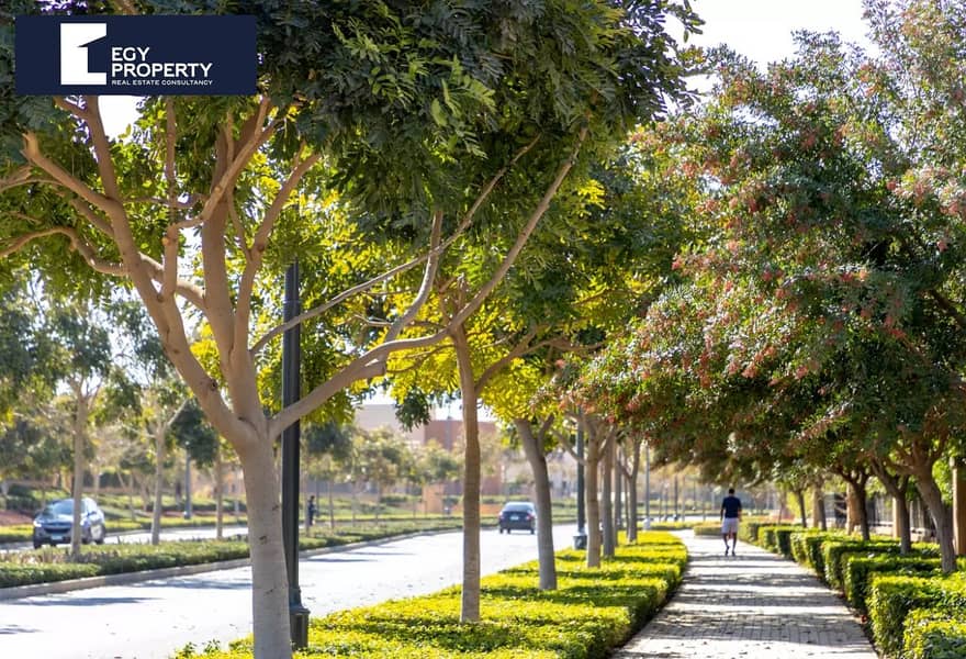 11 ea4a75db-6c2c-4afd-84c2-599061bc2494. jpg