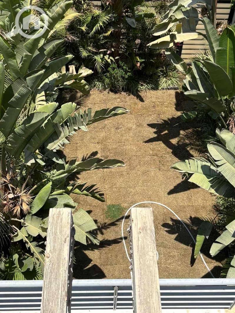 4 08a97e0e-f7b6-42e1-afde-ec47002fb698. jpg