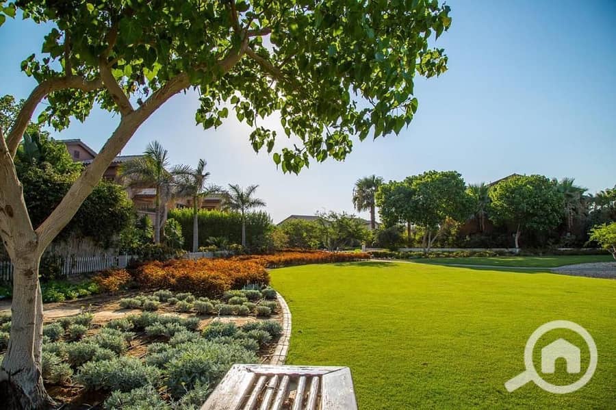 WhatsApp Image 2025-09-29 at 15.37. 37_dd9271f8. jpg WhatsApp Image 2025-09-29 at 15.37. 37_dd9271f8. jpg