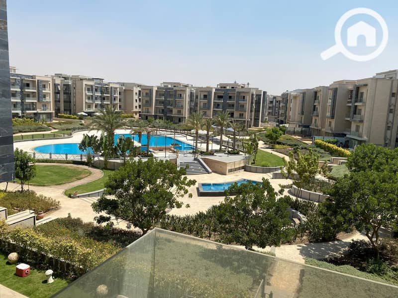 145631. jpg 145631. jpg