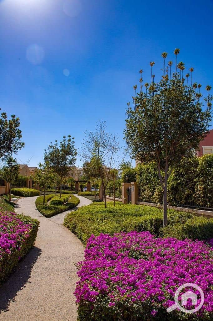 4 WhatsApp Image 2025-09-29 at 15.37. 39_011d9ca8. jpg