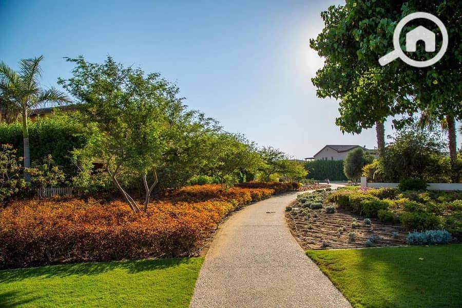 6 WhatsApp Image 2025-09-29 at 15.37. 41_8fbdaffa. jpg