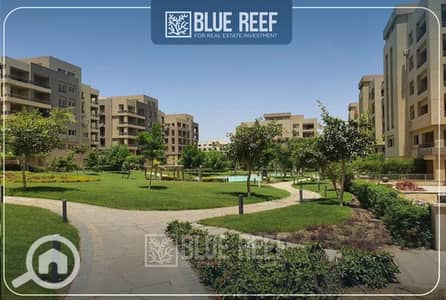 فلیٹ 3 غرف نوم للبيع في القاهرة الجديدة، القاهرة - قثش. jpg