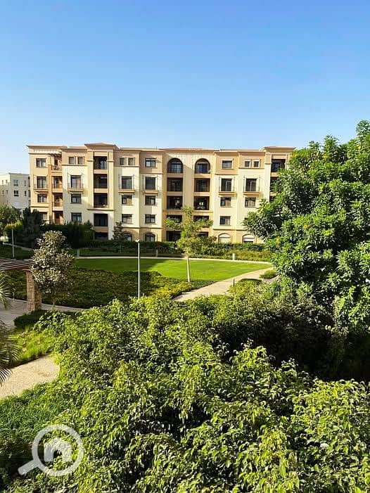 518251329_10233590273671080_723697596735827193_n. jpg