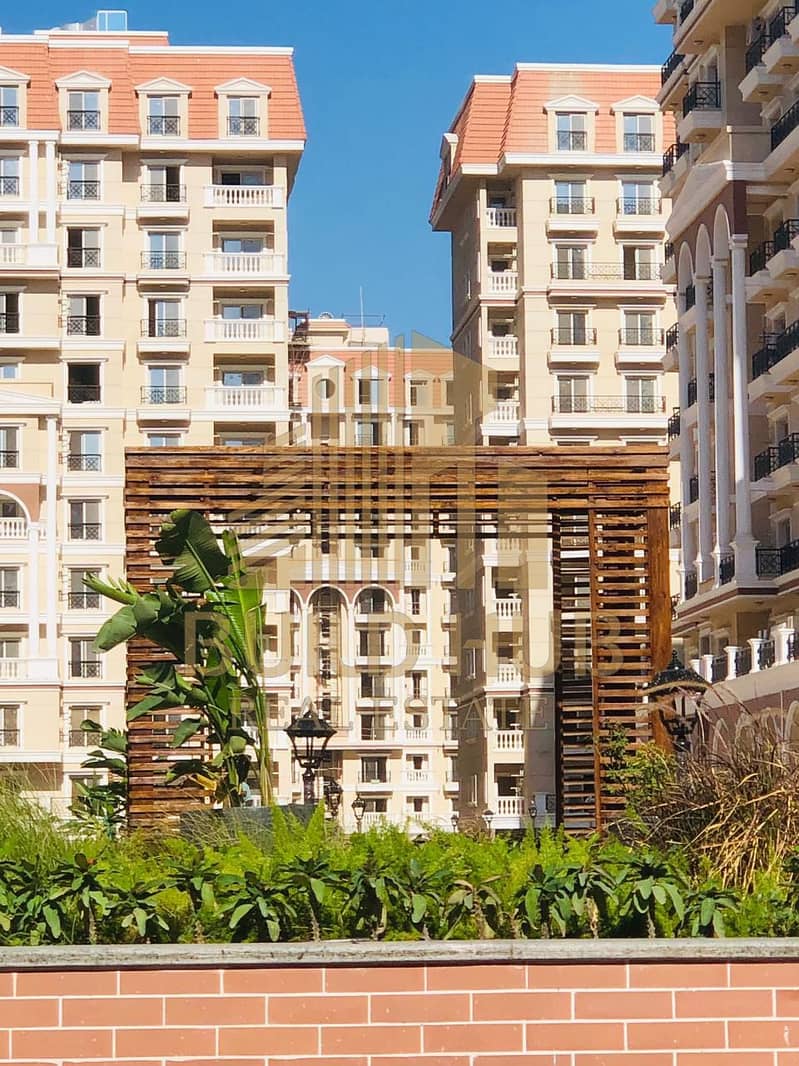 IMG-20251006-WA0004. jpg IMG-20251006-WA0004. jpg