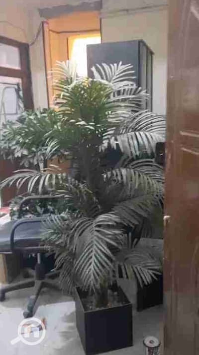 Office for Rent in Heliopolis, Cairo - 1000226517. jpg