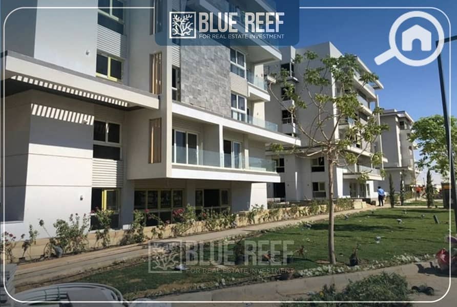 6 WhatsApp Image 2025-05-26 at 4.44. 41 PM. jpeg