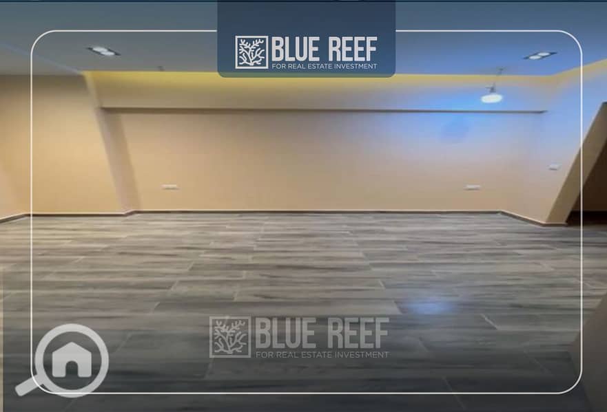 4 Bluereef  - Templete. psdsdfcv (1)-Recovered-Recoveredgss. jpg