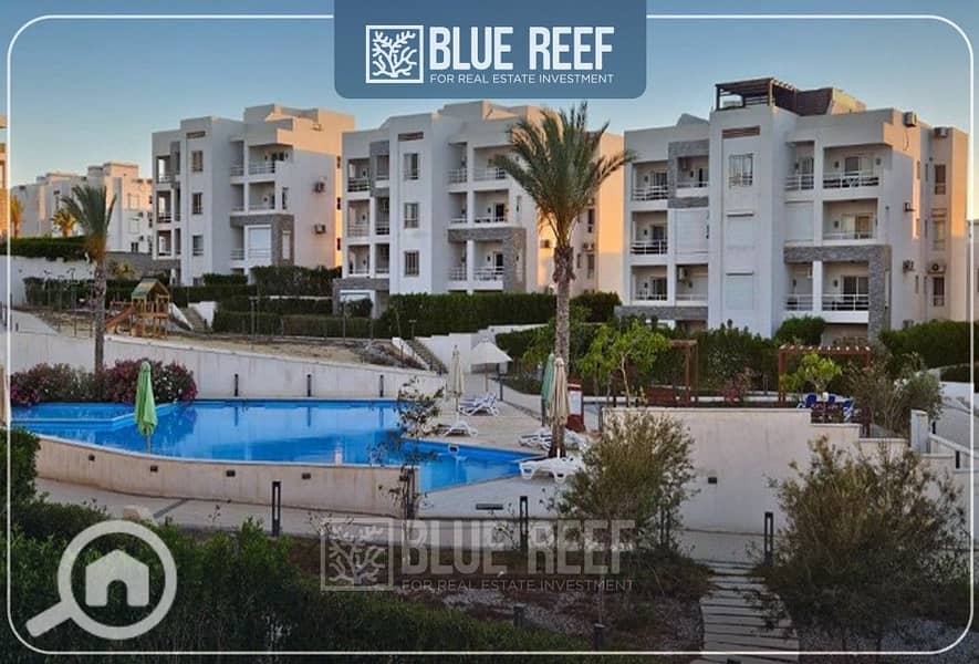 2 WhatsApp Image 2025-05-05 at 12.20. 45 PM. jpeg