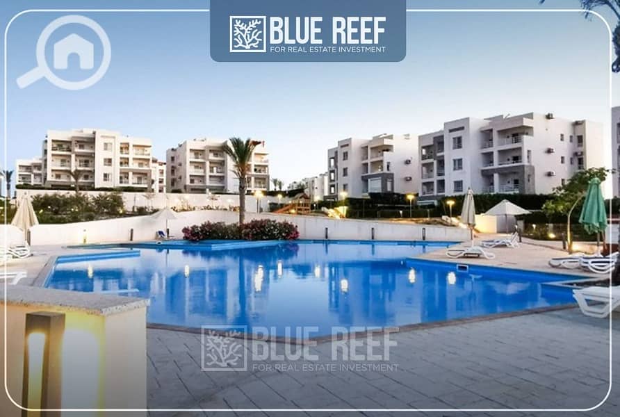 4 WhatsApp Image 2025-05-05 at 12.20. 45 PM (3). jpeg