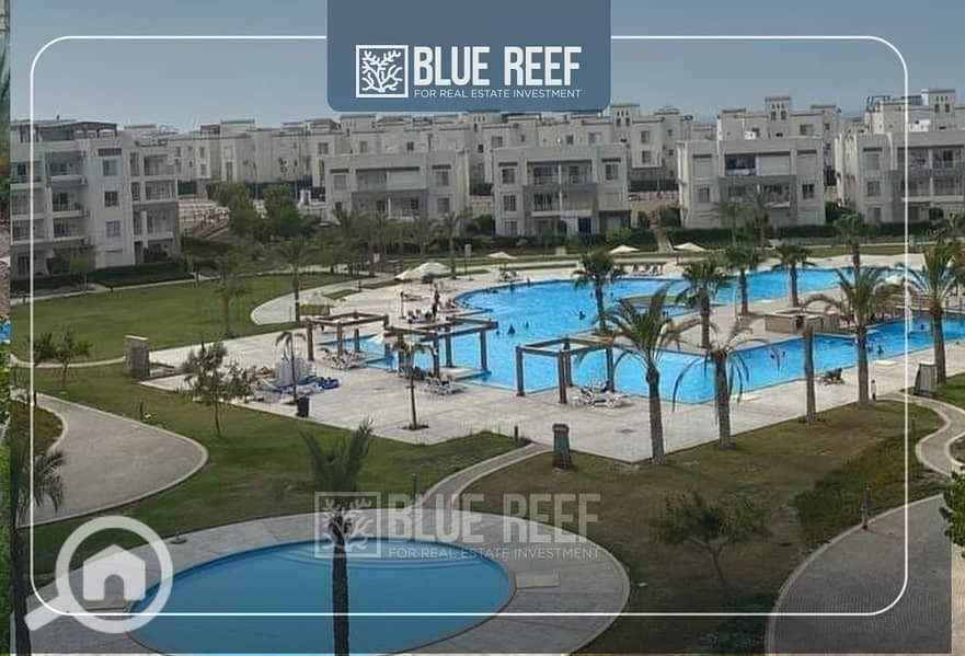 10 WhatsApp Image 2025-05-05 at 12.20. 46 PM (6). jpeg