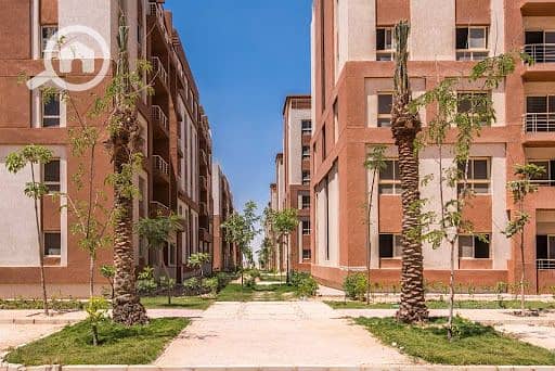 5 دجلة-بالمز-السادس-من-أكتوبر. jpg