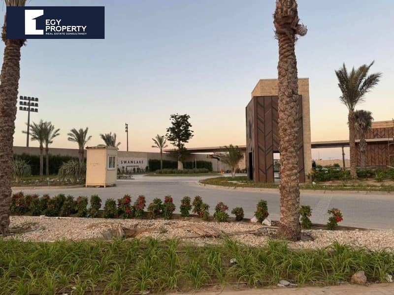 4 swan laked new cairo (11). jpeg