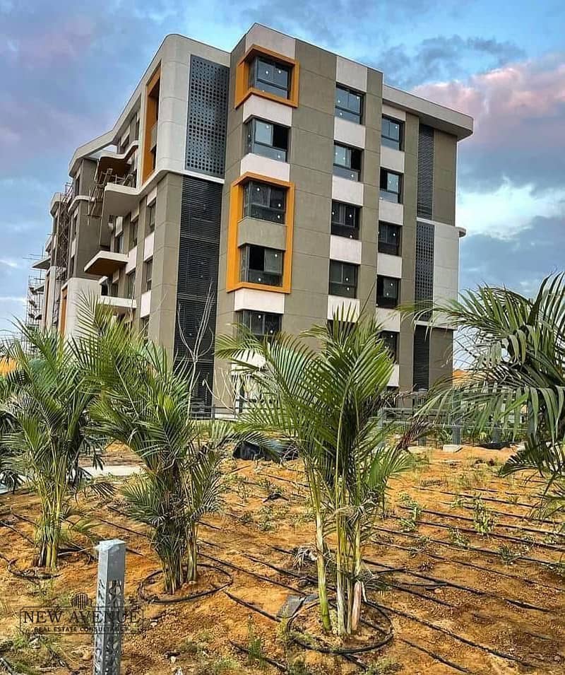 10 IMG-20251019-WA0001. jpg