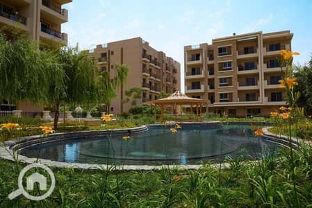 3 Bedroom Apartment for Sale in New Cairo, Cairo - IMG-20251015-WA0027. jpg 3 Bedroom Apartment for Sale in New Cairo, Cairo - IMG-20251015-WA0027. jpg