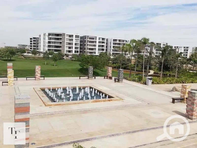 2 WhatsApp Image 2025-02-01 at 14.08. 51_b81dc464. jpg