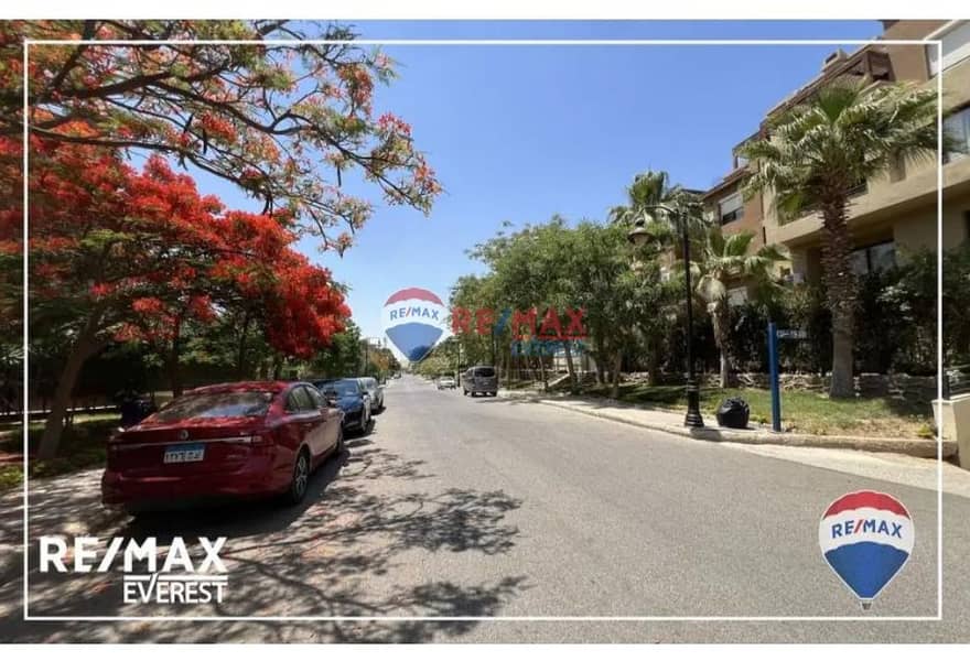 4 8781872f-792a-44bf-b94f-8d747a406cdf. jpg