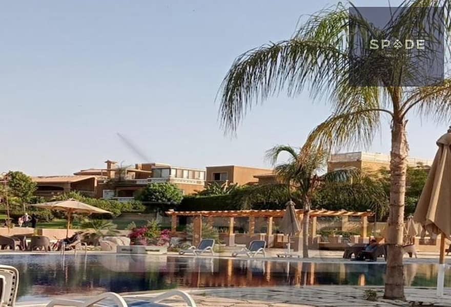 9 fd8e75e0-fe4d-45bc-b250-c82bcc51279a. jpg