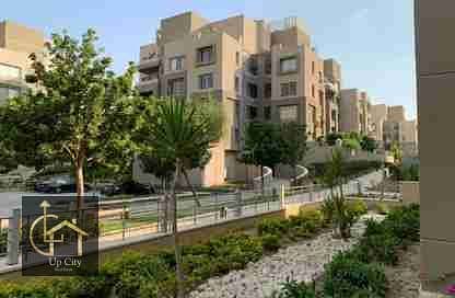 10 1000064602. webp
