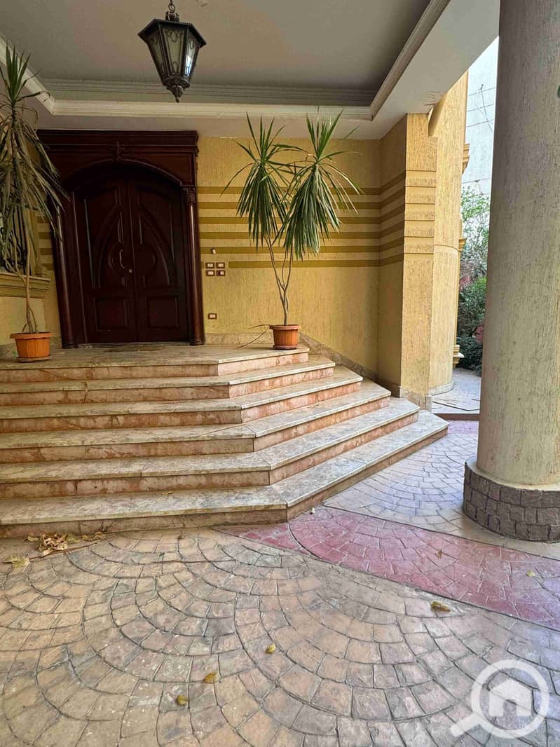 3 281652. jpg