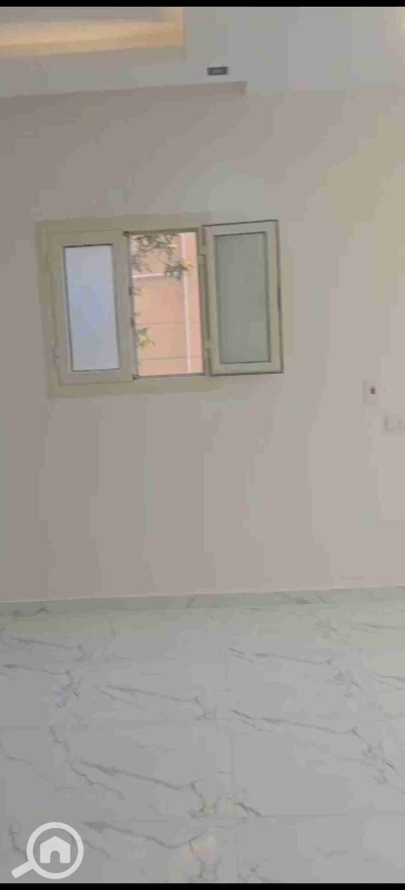 4 54905. jpg