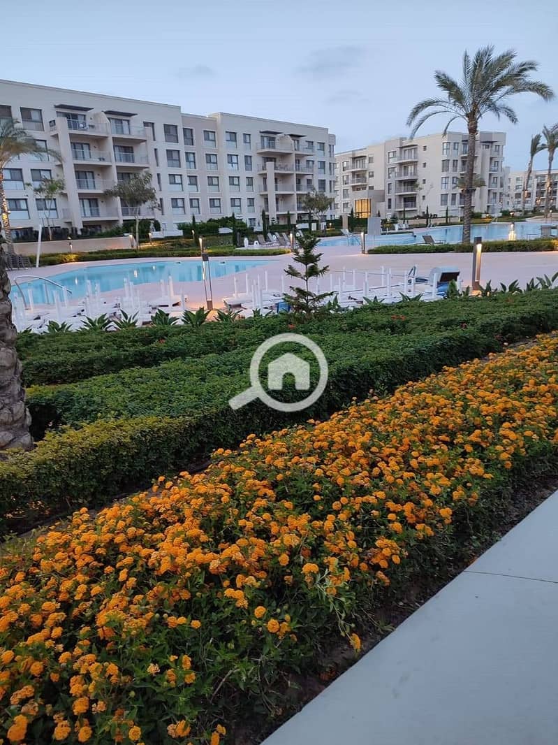 2 صورة واتساب بتاريخ 1447-04-27 في 15.31. 33_fd643221. jpg
