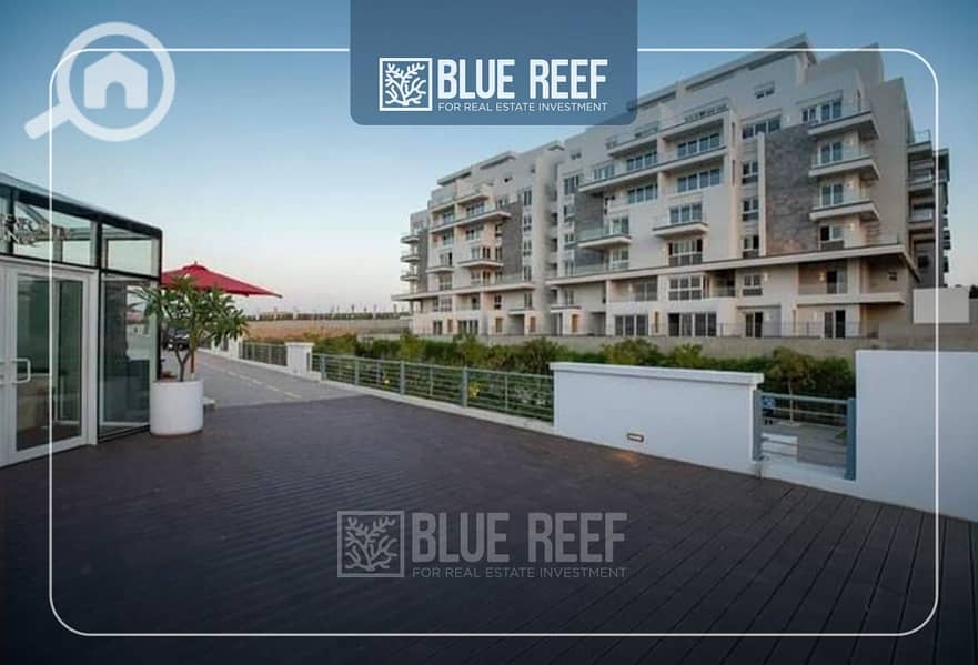 3 WhatsApp Image 2025-06-17 at 1.39. 00 PM. jpeg