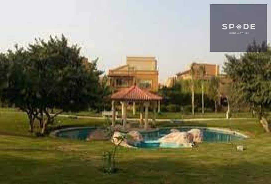 4 5e288247-00c7-4e96-a73b-5420e38a6a63. jpg