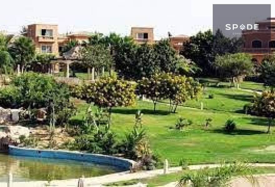 7 494de0d9-2696-4edd-adea-3cd04aaaea2e. jpg