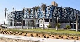 2 WhatsApp Image 2025-10-19 at 13.23. 20_45c7243f. jpg