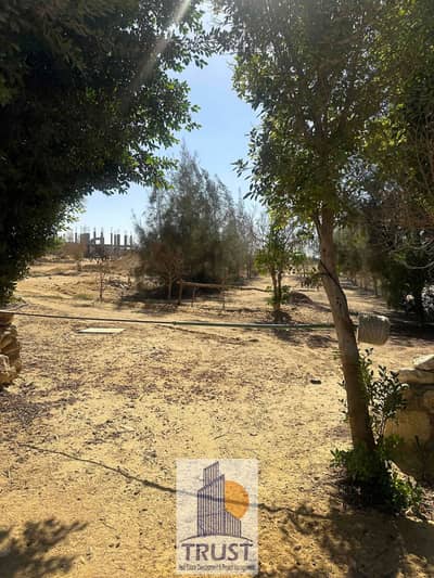 Residential Land for Sale in 6th of October, Giza - IMG_8287. jpg