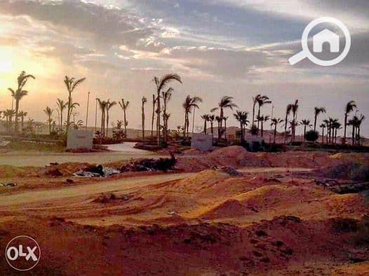 14606541_801620349977077_4487205138093792825_n - Copy. jpg 14606541_801620349977077_4487205138093792825_n - Copy. jpg