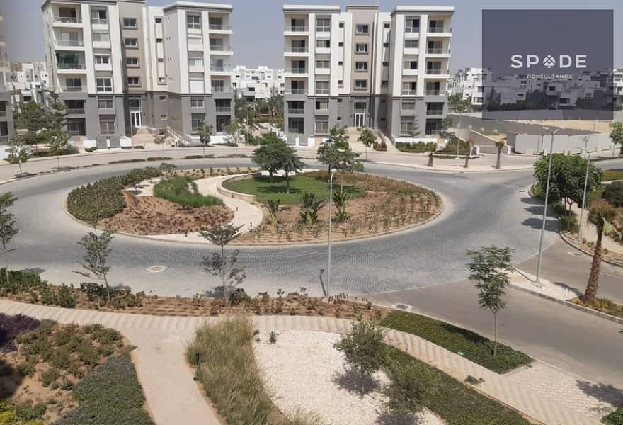 6 478f0d75-7545-44de-a46b-6db1eaf3b329. jpg