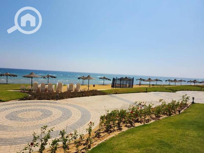 2 474056178 - Copy - Copy - Copy. jpg